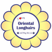 I Love My Oriental Longhairs (Multiple Cats) Photo Cutout