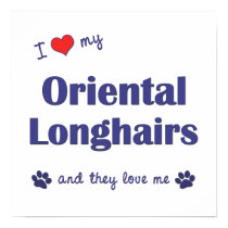I Love My Oriental Longhairs (Multiple Cats) posters