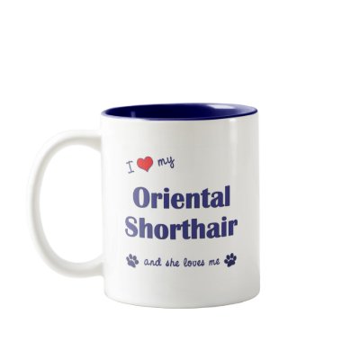 I Love My Oriental Shorthair (Female Cat) coffee mug
