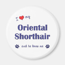 I Love My Oriental Shorthair (Male Cat) Fridge Magnet