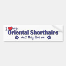 I Love My Oriental Shorthairs (Multiple Cats) Bumper Sticker