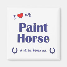 I Love My Paint Horse (Male Horse) Fridge Magnet