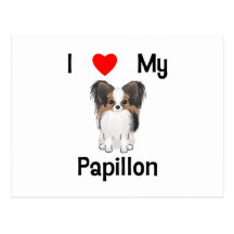 I Love My Papillon (picture) Postcard