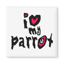 I Love My Parrot magnets by BirdsOfParadise I Love My Parrot magnets