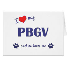 I Love My PBGV (Male Dog) Card