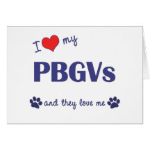 I Love My PBGVs (Multiple Dogs) Greeting Cards