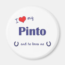 I Love My Pinto (Male Horse) Magnets