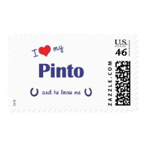 I Love My Pinto (Male Horse) Postage Stamps