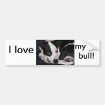 I love my pit bull! bumper stickers