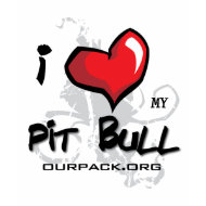 I Love My Pit Bull! shirt