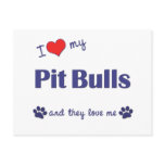 I Love My Pit Bulls (Multiple Dogs) Postcards