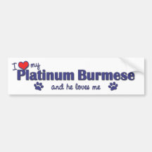 I Love My Platinum Burmese (Male Cat) Bumper Stickers