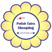 I Love My Polish Tatra Sheepdog (Female Dog) Photo Sculpture