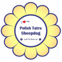 I Love My Polish Tatra Sheepdog (Male Dog) Acrylic Cut Out