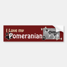 I love my Pomeranian Bumper Sticker