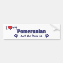 I Love My Pomeranian (Female Dog) Bumper Stickers
