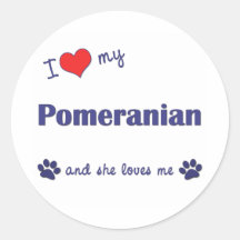 I Love My Pomeranian (Female Dog) Stickers