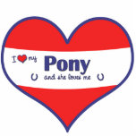 I Love My Pony (Female Pony) Acrylic Cut Out