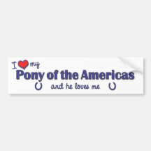 I Love My Pony of the Americas (Male Pony) Bumper Sticker