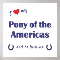 I Love My Pony of the Americas (Male Pony) Poster