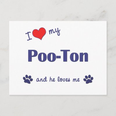 Poo Ton