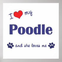 I Love My Poodle (Female Dog) Print