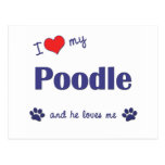 I Love My Poodle (Male Dog) Postcards