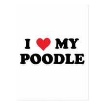 I Love My Poodle Postcard
