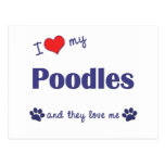 I Love My Poodles (Multiple Dogs) Post Card