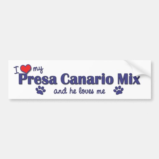 I Love My Presa Canario Mix (Male Dog) Bumper Sticker