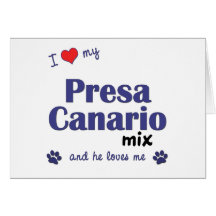 I Love My Presa Canario Mix (Male Dog) Card
