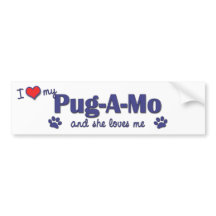 Pug A Mo