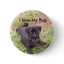 I love My Pug Button