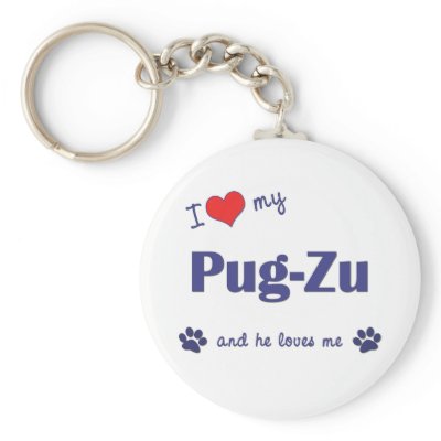 Pug Zu Dog