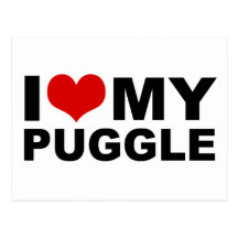 I Love My Puggle Red Heart Postcard
