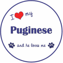 I Love My Puginese (Male Dog) Ornament photo sculptures by dogadoodle I Love My Puginese (Male Dog) Ornament photo sculptures