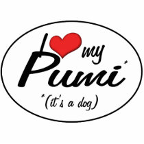 I Love My Pumi (It's a Dog) Acrylic Cut Outs