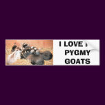 I LOVE MY PYGMY GOATS