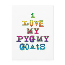 I Love My Pygmy Goats postcards