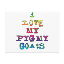 I Love My Pygmy Goats postcards