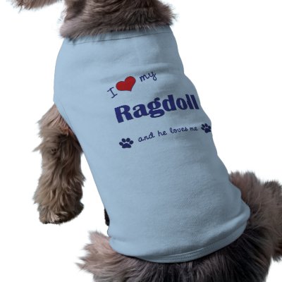 I Love My Ragdoll (Male Cat) Pet Tee by customcatgifts