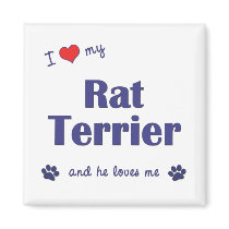 I Love My Rat Terrier (Male Dog) magnets