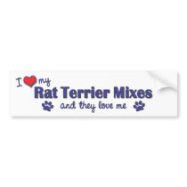I Love My Rat Terrier Mixes (Multiple Dogs) bumper stickers
