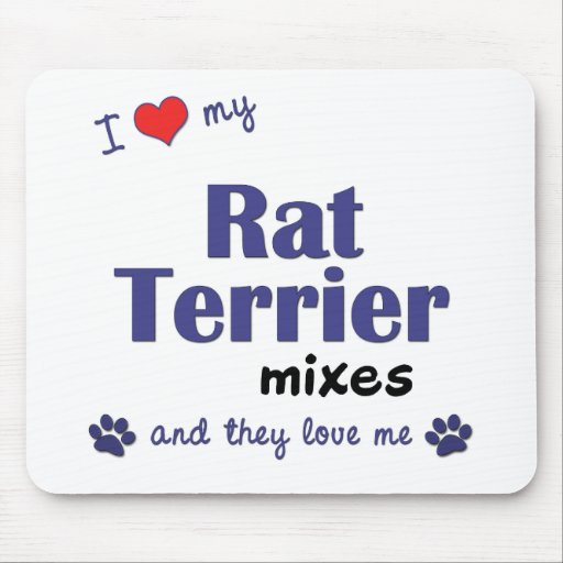 I Love My Rat Terrier Mixes (Multiple Dogs) Mouse Pad