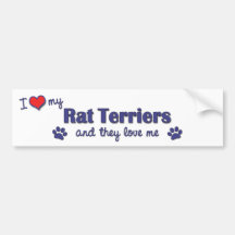 I Love My Rat Terriers (Multiple Dogs) Bumper Sticker