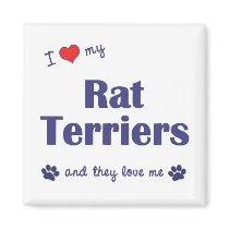 I Love My Rat Terriers (Multiple Dogs) magnets