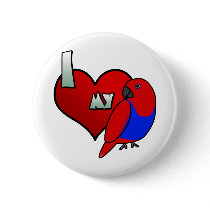I Love my Red Sided Eclectus Pin