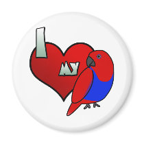 I Love my Red Sided Eclectus magnets