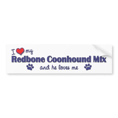 pitbull coonhound mix
