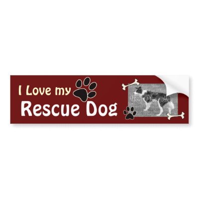 I love my Rescue DogBumper Sticker by Customizables